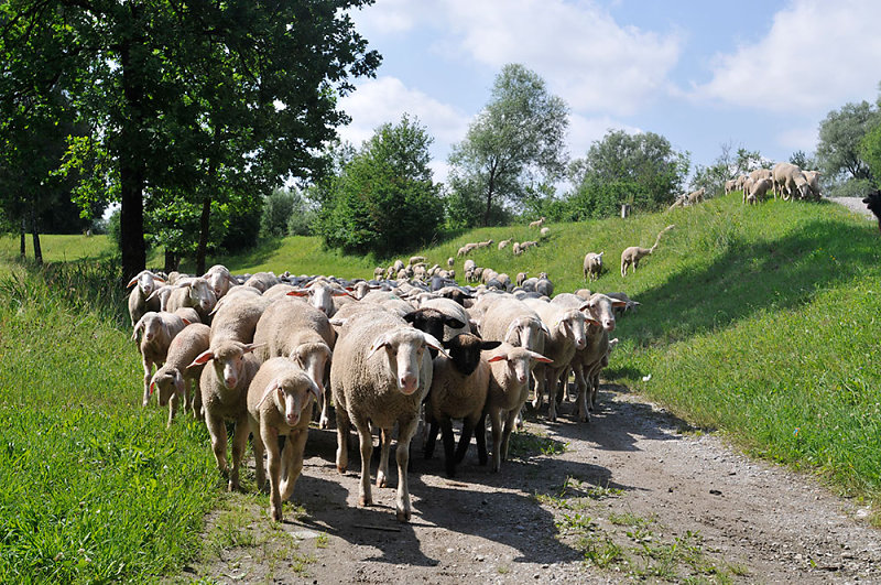 inn-radweg.jpg