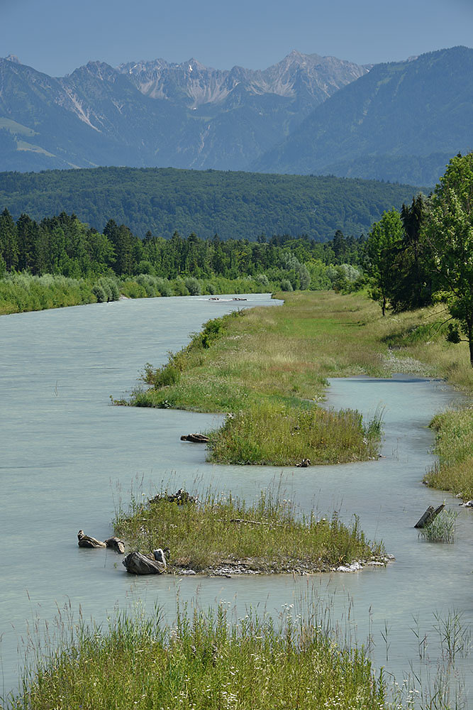 alpenrhein-vorarlberg.jpg