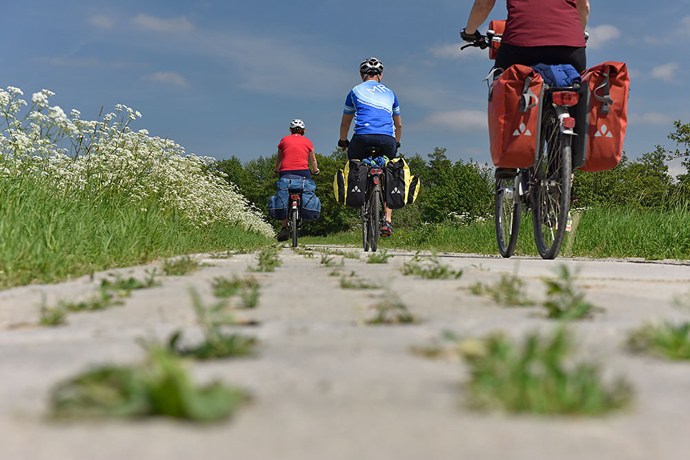 Green-Velo-Polen.jpg